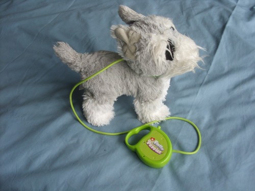 Fluffy puppies walking - puppies, walking/barking