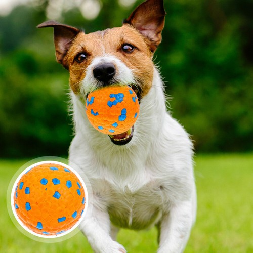 Dog interactive for - for,