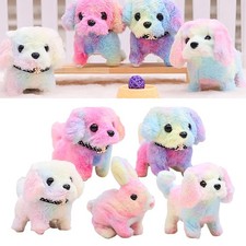 Interactive Electronic Pet